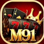 M91 Game